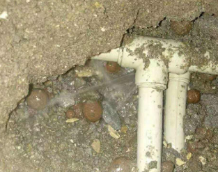 沧州市卫生间防水的报价