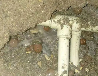 沧州市卫生间测漏