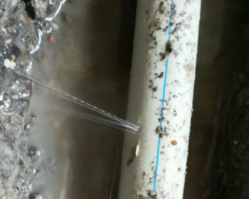 沧州市卫生间测漏水多少钱