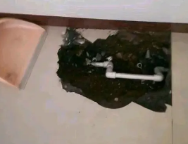 沧州市卫生间测漏水多少钱
